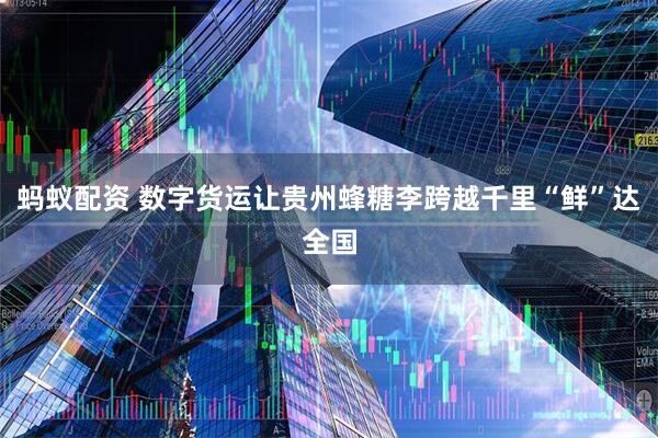 蚂蚁配资 数字货运让贵州蜂糖李跨越千里“鲜”达全国